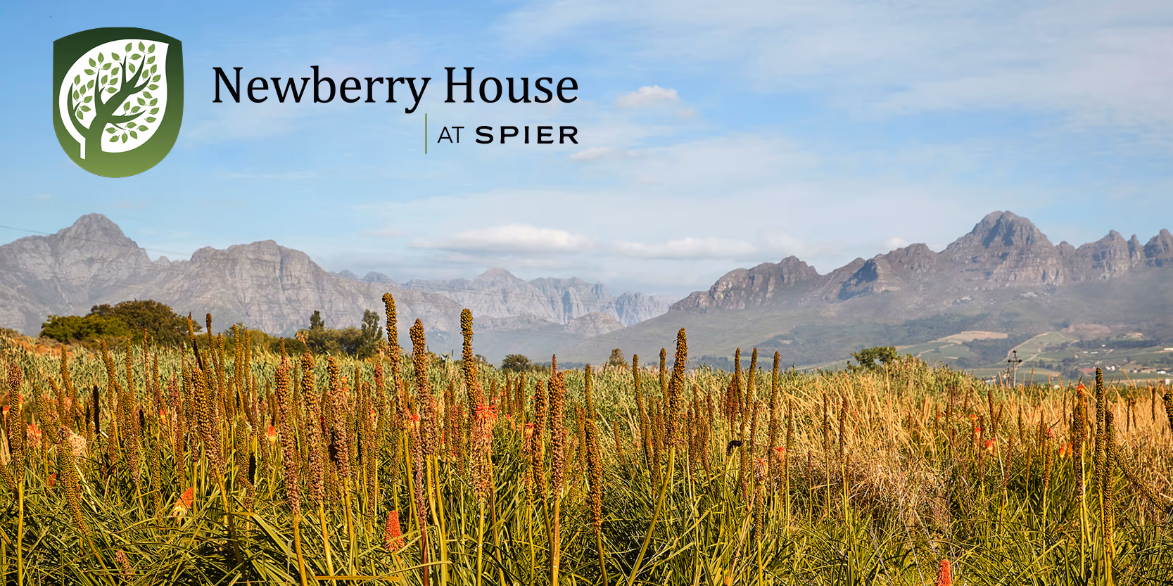 Newberry House at Spier, Spier Estate, Stellenbosch