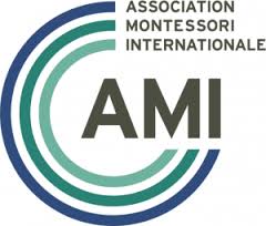 ami-logo