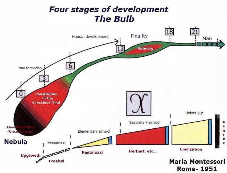 MOMtessori Way - Development is a series of rebirths.